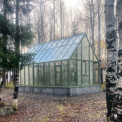 АСТЕРА Макси